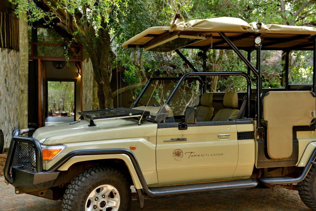 Tambuti Lodge Pilanesberg Zewnętrze zdjęcie